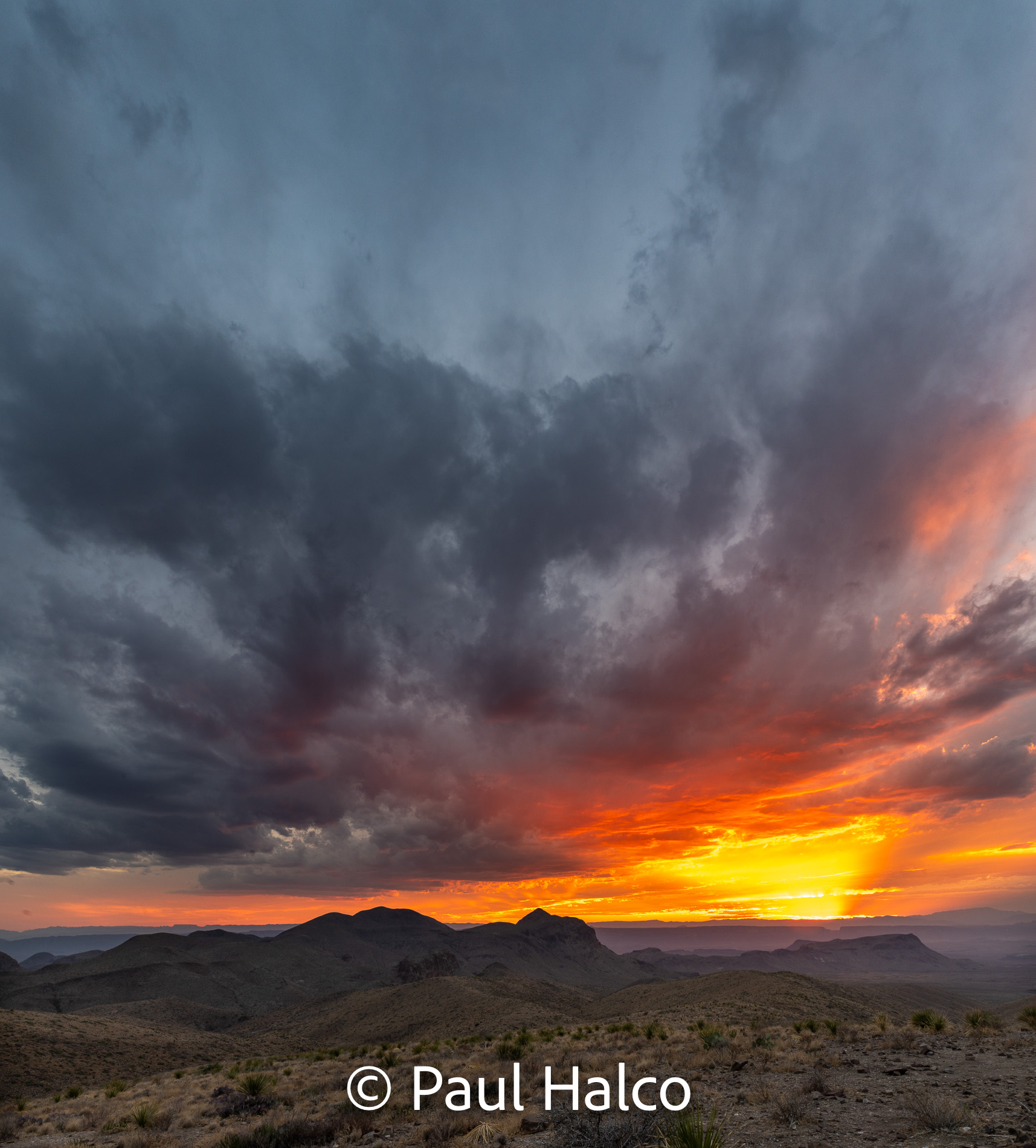 Paul Halco - Big Bend NP-7
